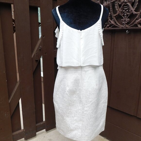 Ann Taylor LOFT Sz 10 White & Silver Fitted Dress NEW - Picture 5 of 5